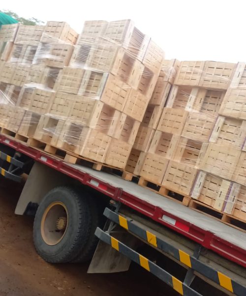 Cajas para Fruta