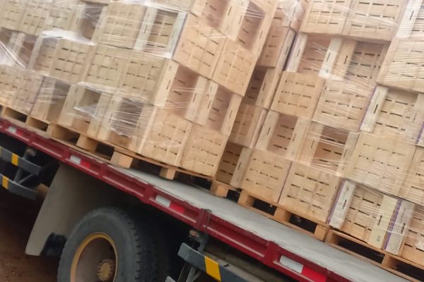 Cajas para Fruta Cajas para Fruta